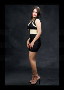 Vip Escorts In 