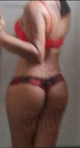  Escortgirl gringa - atendimento centro, zona sul e barra