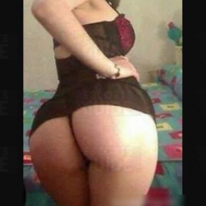  Escortgirl Sara