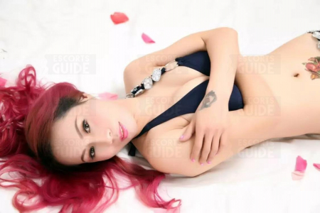 Taiwanese Kitty 